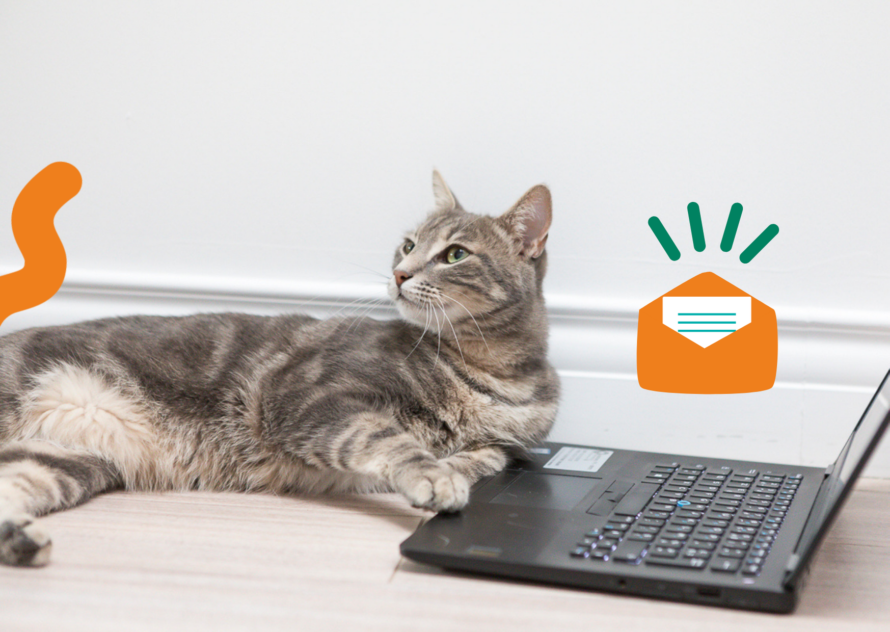 miwcat_contact comportement chat,comportement du chat,comportement félin,comprendre le comportement de mon chat,comprendre son chat,conseils éducation chat,comportements du chat expliqués aux humains,décrypter le langage de son chat,comprendre le langage du chat,comportementaliste félin,comportementaliste chat,comportementaliste félin lille,comportementaliste chat lille,miw cat,miwcat,coach félin,coaching félin,coaching chat,coach chat,dressage félin,dressage chat,communication animale,spray feliway,Feliway,éducation chat,éducation félin,éducatrice félin,éducatrice chat,spécialiste du comportement de votre chat,éducation et comportement félin,bien vivre avec son chat,comment soigner comportement chat,comment changer comportement chat,comportement chat qui mordille,comportement chat qui se cache,comportement chat qui s’ennuie,comportement chat qui fait pipi partout,que faire mon chat miaule la nuit,que/quoi faire mon chat fait pipi partout,qui est mon chat,quel est mon chat idéal,quelle litière pour mon chat,est-ce que mon chat peut sauter du balcon,est-ce que mon chat me comprend quand je lui parle,est-ce que mon chat s’ennuie,pourquoi mon chat miaule la nuit,pourquoi mon chat fait pipi partout,pourquoi chat pipi lit,pourquoi chat pipi canapé,pourquoi chat pipi tapis,pourquoi mon chat me suit partout,pourquoi chat ronronne,pourquoi chat remue la queue,pourquoi chat patoune,pourquoi chat mordille,pourquoi mon chat me mordille,pourquoi mon chat me lèche,pourquoi mon chat miaule,pourquoi chat miaule,pourquoi chat miaule la nuit,pourquoi chat gratte le sol,pourquoi chat lèche,chat à adopter,chat adoption,adoption chat,adoption chaton,chaton adoption,chaton à adopter,problème chat,problèmes chat,chat qui ronronne,chat qui vomit,chat qui miaule,quand chat ronronne,quand chat ressent grossesse,quel chat choisir,quel chat en appartement,quel chat est le plus calin,qu'est-ce que les chats n'aiment pas,qu'est-ce que les chats aiment,quoi faire chat errant,quoi faire chat perdu,chat quoi acheter,griffoir chat lequel choisir,chat lequel choisir,comment chat va émotions,comment chat va,comment chat ronronne,litiere chat laquelle choisir,chat ou chien que choisir,chat ou chien plus intelligent,chat abandonné,abandonner son chat,abandonner chat,mes chats ne s'entendent pas,chat problème sevrage,mon chat m'attaque,chat qui attaque,mon chat mord,mon chat me mord,chat qui mord,morsures chat,chat qui se lèche jusqu'à ne plus avoir de poils,chat dépendance affective,chat dépression,dépression chez le chat,chat qui attaque les mains,chat qui attaque les bras,chat qui mord chevilles,pipi hors caisse,caca hors caisse,pipi hors litière,caca hors litière,pipi à côté litière,caca à côté litière,fait ses besoins hors litière,chat pipi sur le lit,chat pipi sur le canapé,chat pipi sur le tapis,chat agressif,miaulements,léchage compulsif,chat qui mange trop vite,chat hyper-attachement,chat pas très à l'aise avec les câlins,chat qui a du mal à s'adapter à un autre environnement,chat qui ne mange plus,chat qui ne fait plus ses besoins,chat qui n'utilise plus la litière,chat qui fait des bêtises,chat qui mange les plantes,les chats et les plantes,chat jaloux,chat qui se venge,chat craintif,chat stressé,chat nerveux,chat qui a peur pour rien,chat et enfants,chat problème de sevrage,mes chats se supportent,chat en dépression,chat réveils nocturnes,chat réveils matinaux,futur chaton,futur chat,brosser chat,le chat qui bavarde,conversation avec son chat,je parle à mon chat,je parle avec mon chat