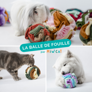 la snuffle ball, le jouet pour chats, chiens et lapins interactif et multifonctions