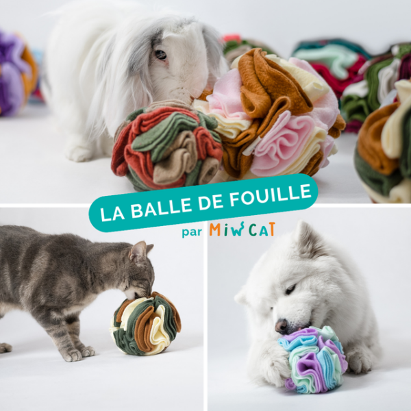 la snuffle ball, le jouet pour chats, chiens et lapins interactif et multifonctions