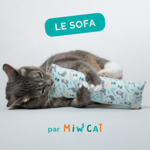 le meilleur jouet à herbe à chat, made in france